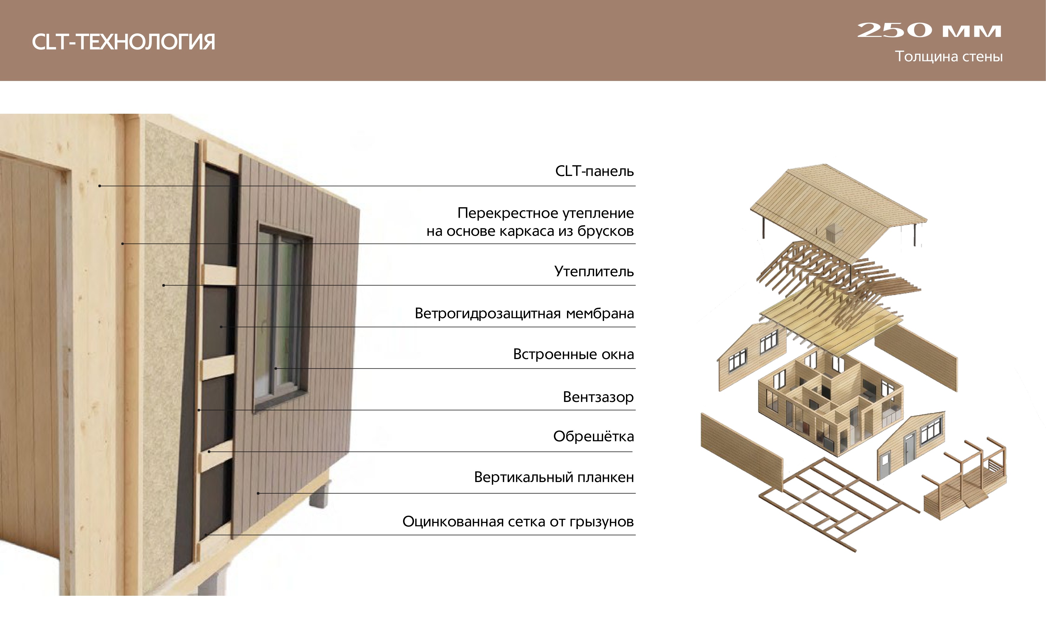 Пирог стены из CLT